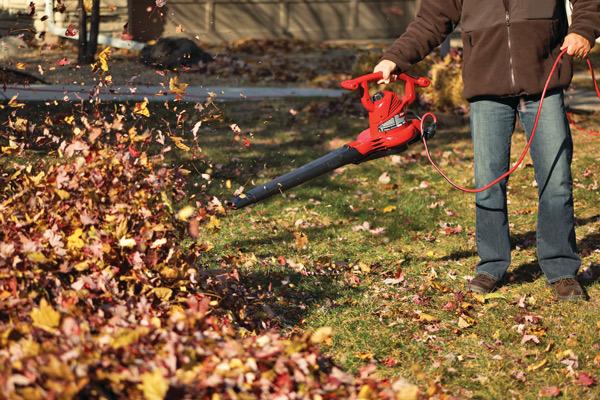 Fall Cleanup Buffalo NY Matts Outdoor Solutions