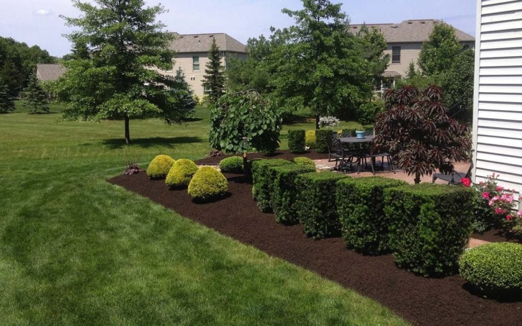 Trimming and Prunning Services Buffalo NY Matts Outdoor Solutions