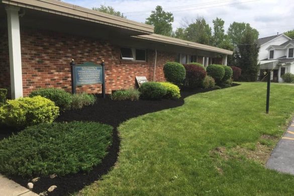 Mulching Services Buffalo NY Matts Outdoor Solutions